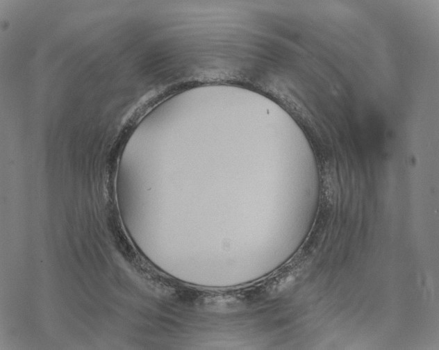 X0000076420208200610271716