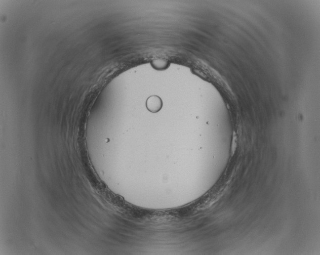 X0000076420209200610271716