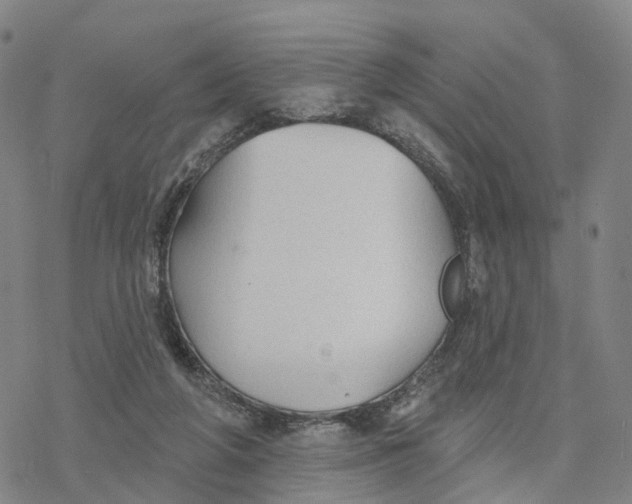 X0000076420210200610271716