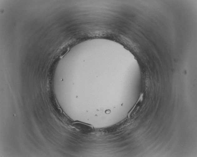 X0000076420211200610271716