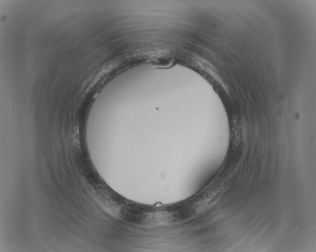 X0000076420212200610271716