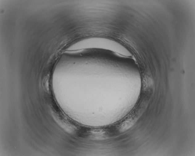 X0000076420214200610271716