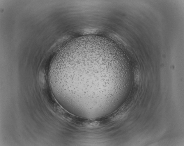 X0000076420215200610271716