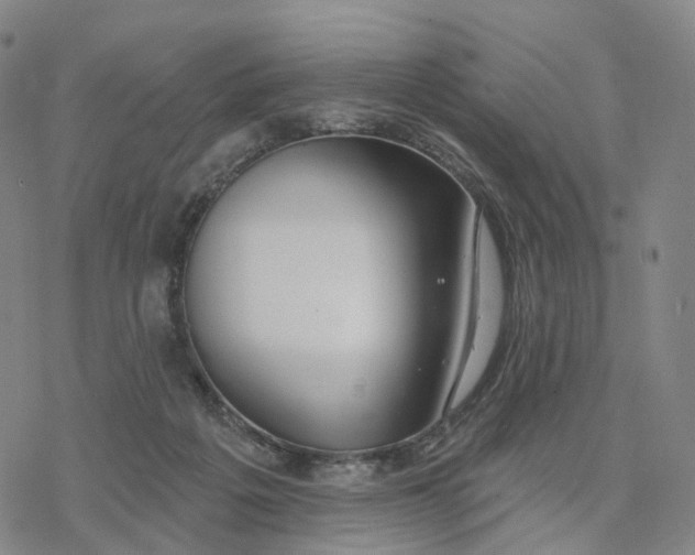 X0000076420217200610271716