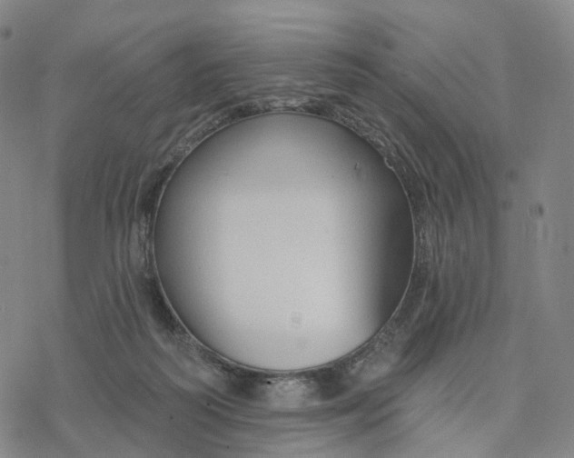 X0000076420218200610271716