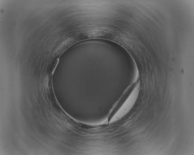 X0000076420219200610271716