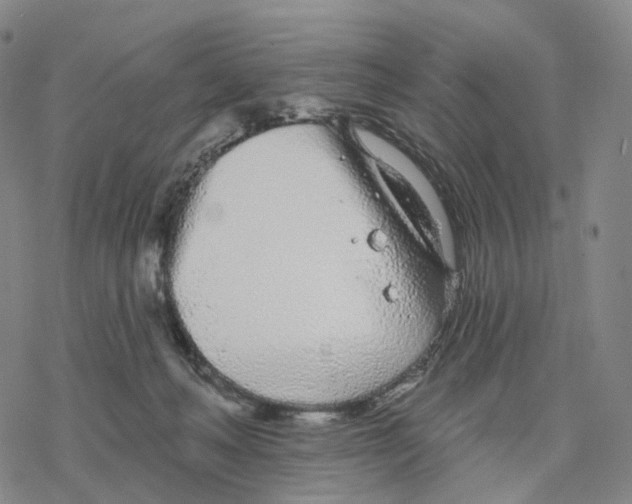 X0000076420222200610271716