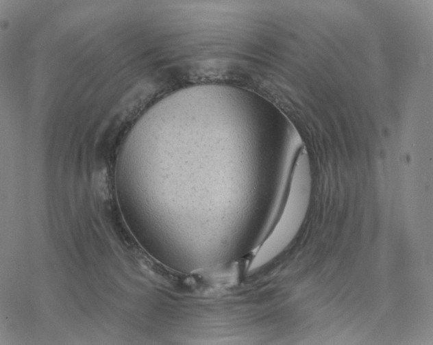 X0000076420224200610271716