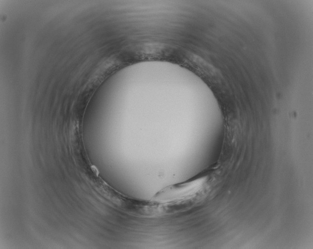 X0000076420225200610271716