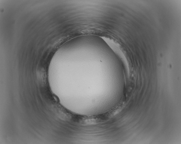 X0000076420228200610271716