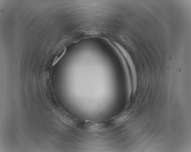 X0000076420229200610271716