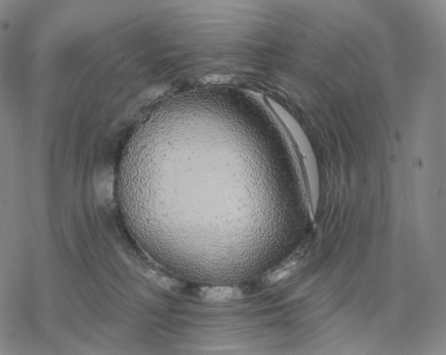 X0000076420230200610271716