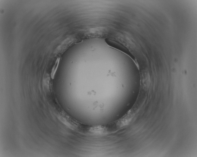 X0000076420231200610271716