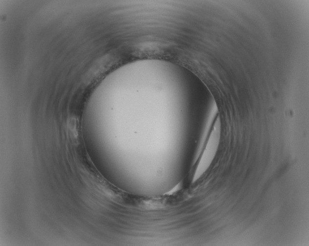 X0000076420232200610271716