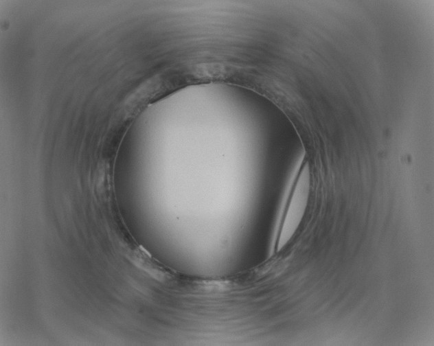 X0000076420233200610271716