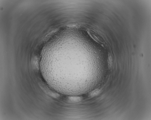 X0000076420234200610271716