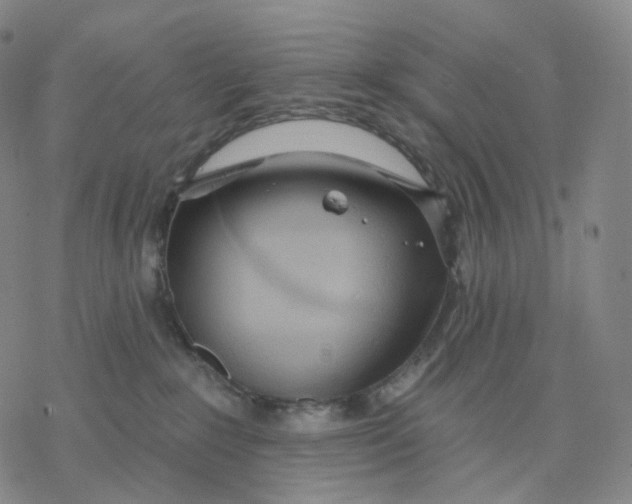 X0000076420235200610271716