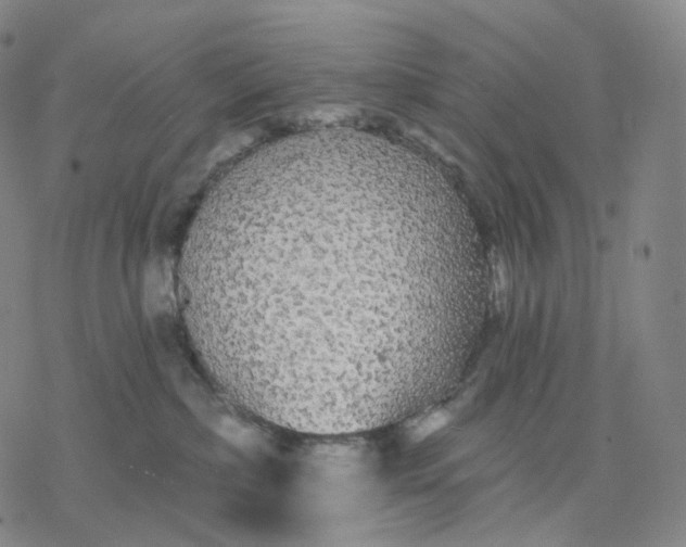 X0000076420236200610271716