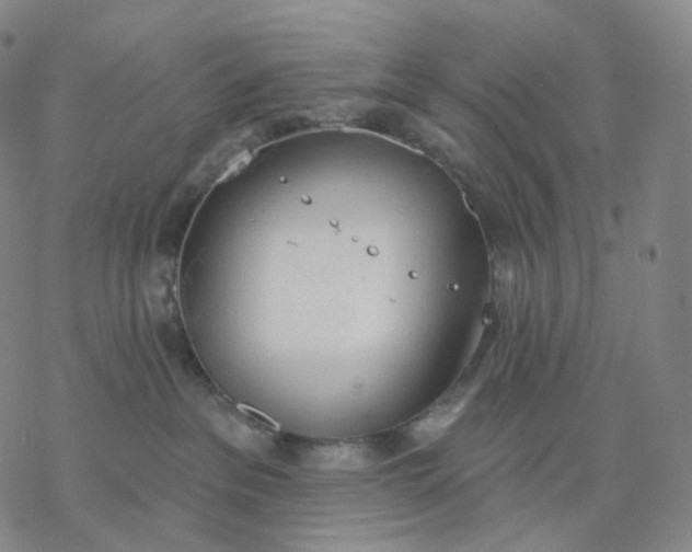 X0000076420237200610271716