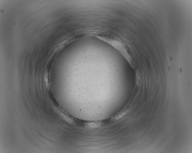 X0000076420238200610271716