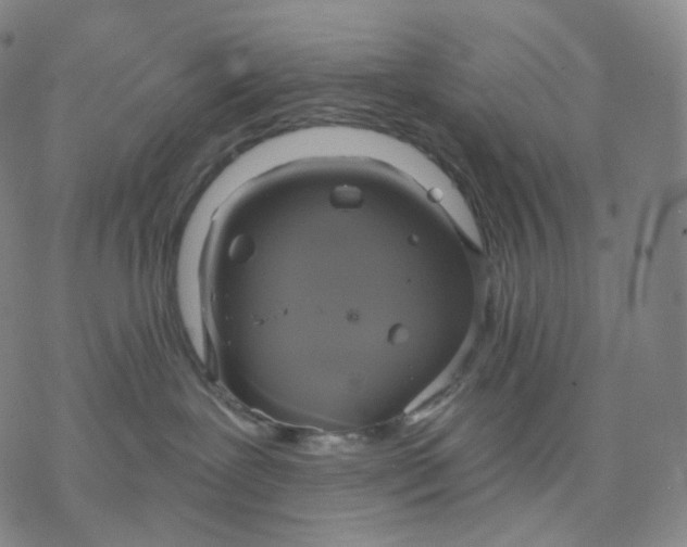 X0000076420239200610271716