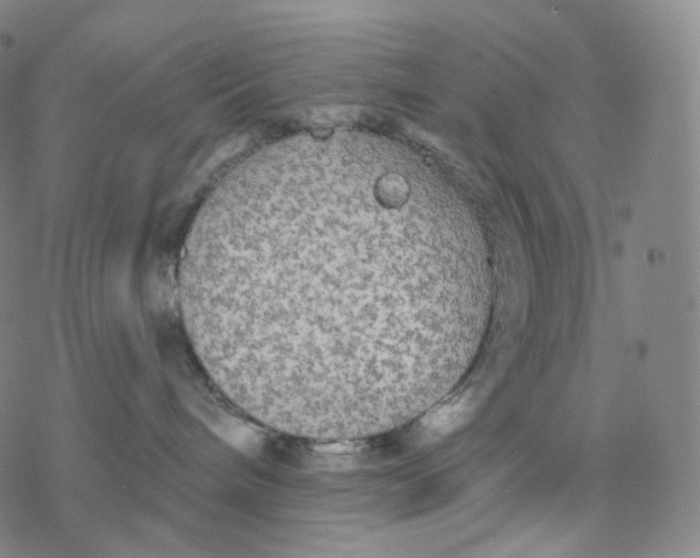 X0000076420240200610271716