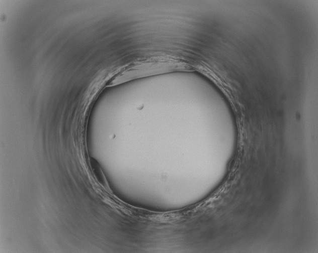 X0000076420241200610271715