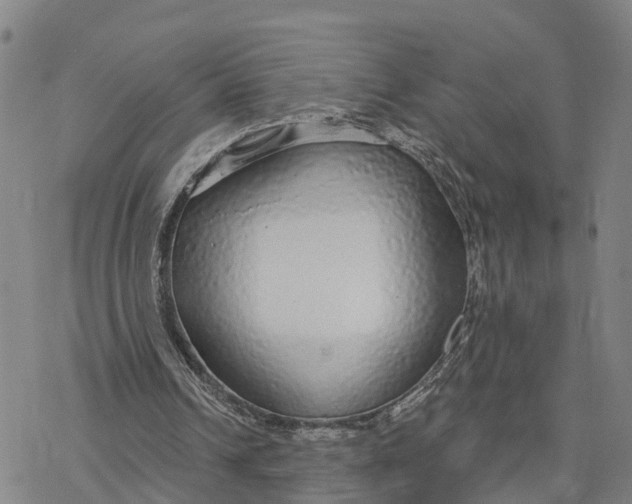 X0000076420242200610271715