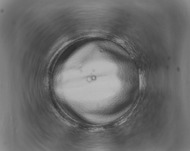 X0000076420243200610271715