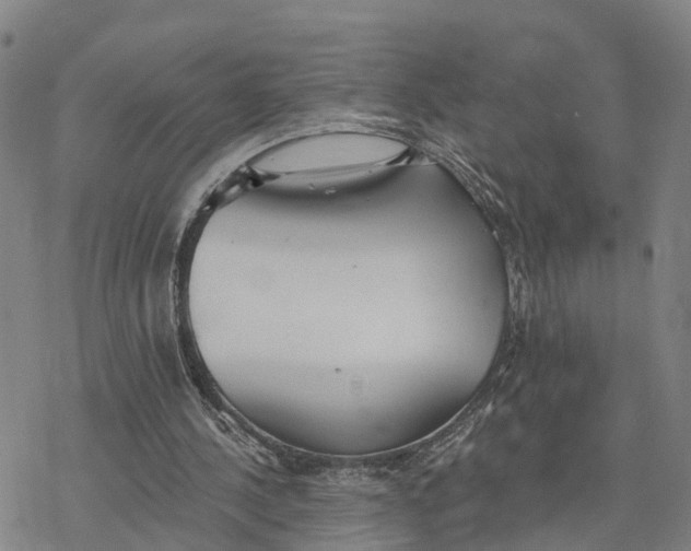 X0000076420244200610271715