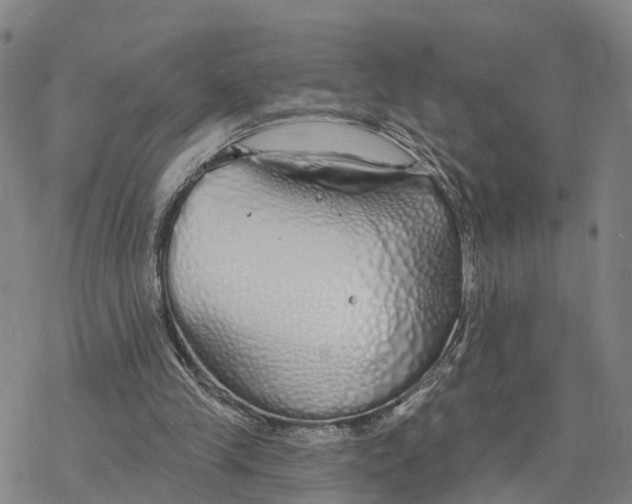 X0000076420245200610271715