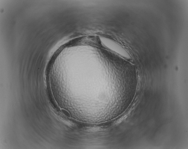 X0000076420246200610271715