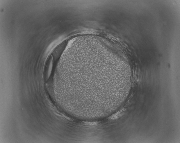 X0000076420247200610271715