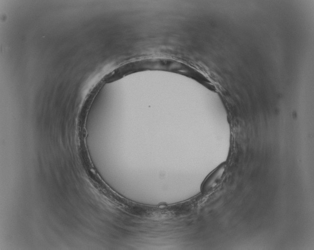 X0000076420248200610271715