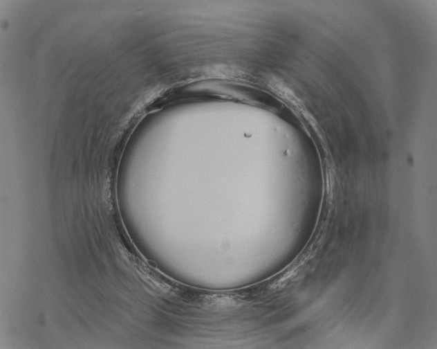 X0000076420249200610271715