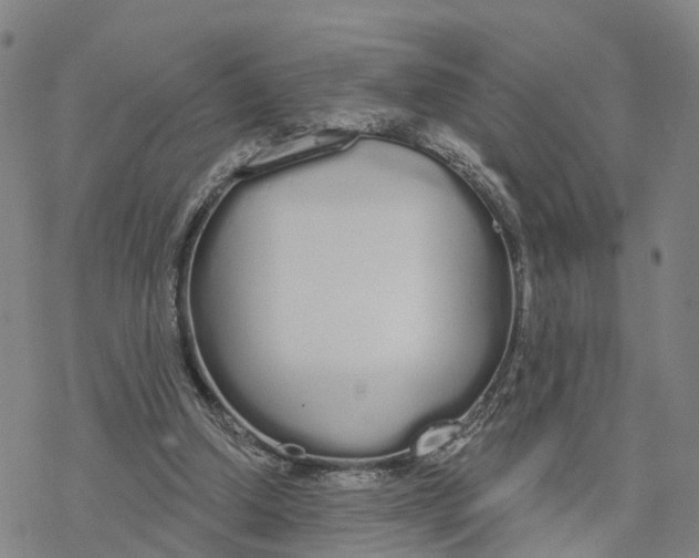 X0000076420250200610271715