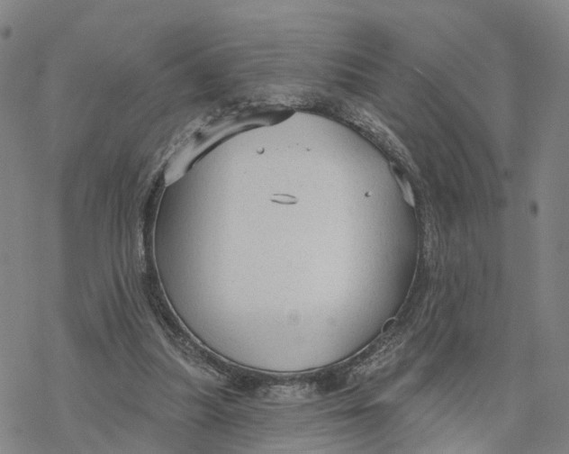 X0000076420251200610271715