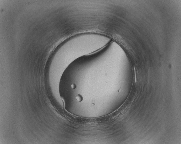 X0000076420252200610271715