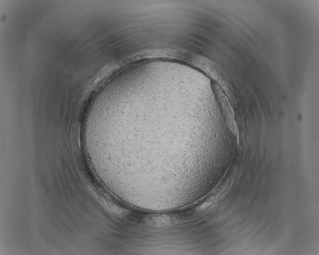 X0000076420253200610271715