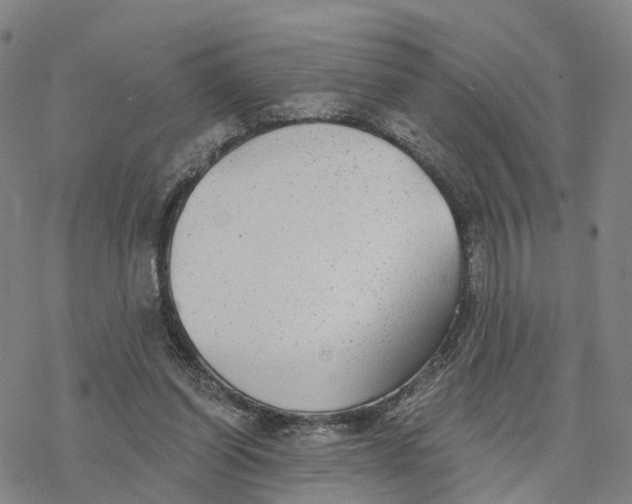 X0000076420254200610271715