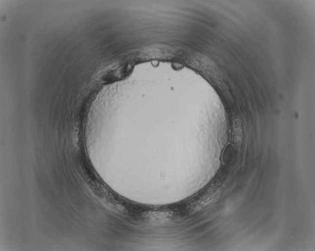 X0000076420255200610271715