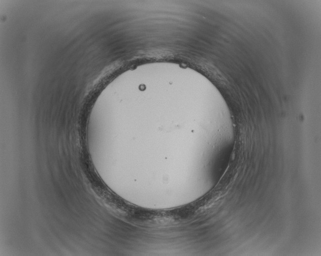 X0000076420256200610271715