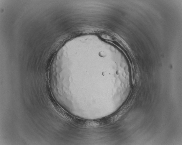 X0000076420257200610271715