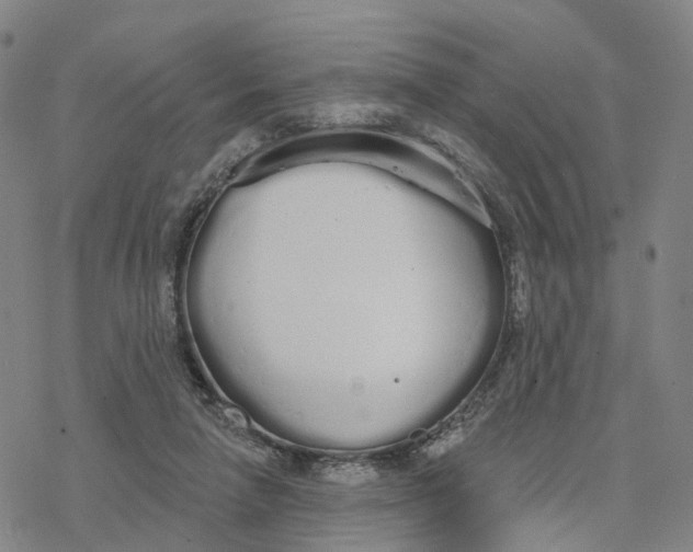 X0000076420258200610271715