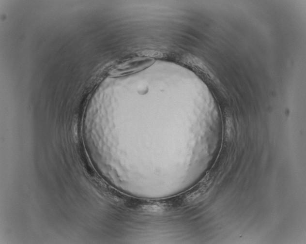 X0000076420259200610271715