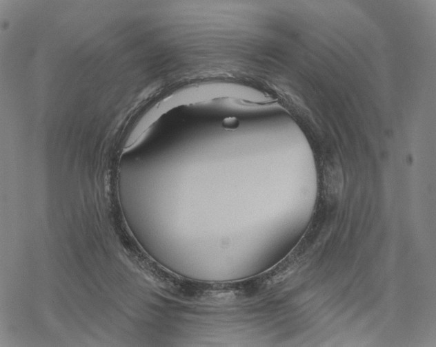 X0000076420260200610271715