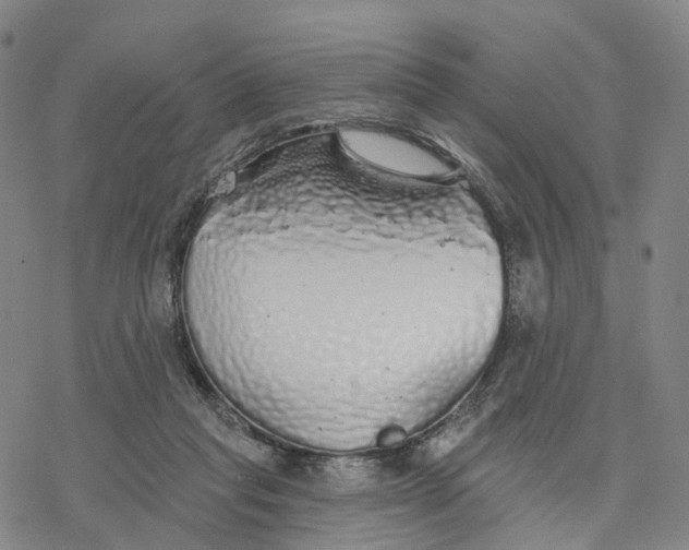 X0000076420261200610271715