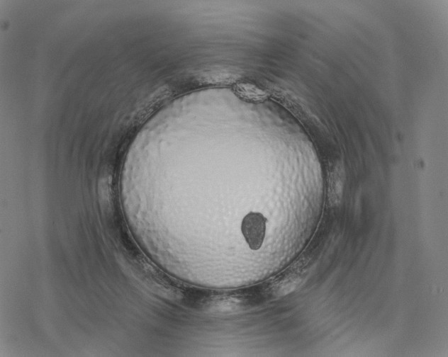 X0000076420263200610271715