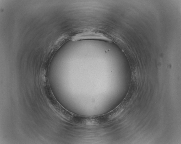 X0000076420264200610271715