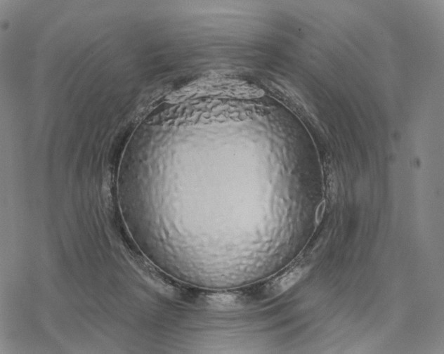 X0000076420265200610271715